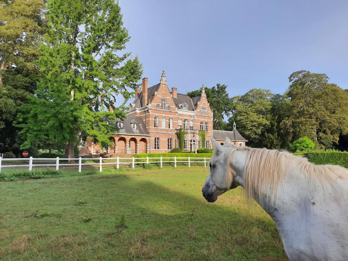 B&B Chateau De Ramegnies-Chin Турне Экстерьер фото